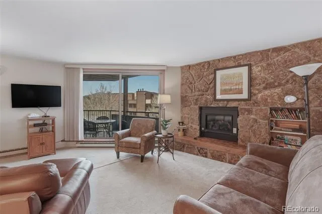 200 E La Bonte Street #223 Dillon, CO 80435