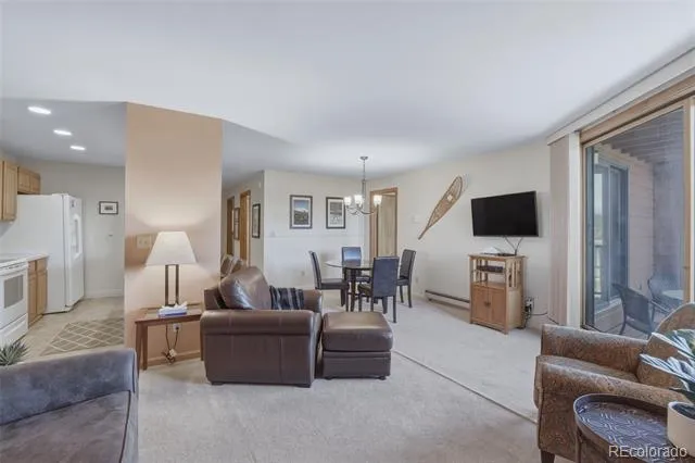 200 E La Bonte Street #223 Dillon, CO 80435