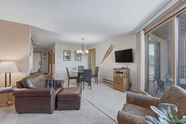200 E La Bonte Street #223 Dillon, CO 80435