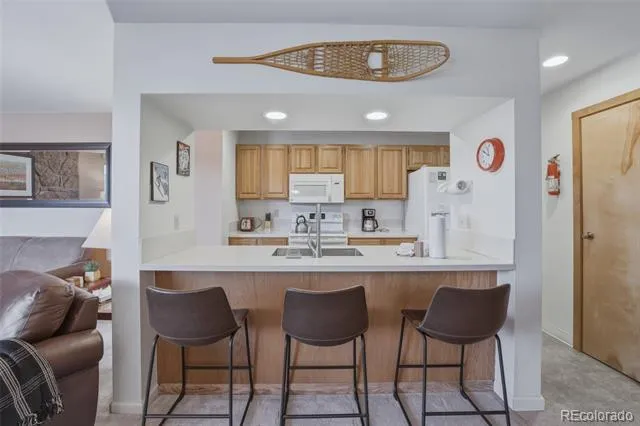 200 E La Bonte Street #223 Dillon, CO 80435