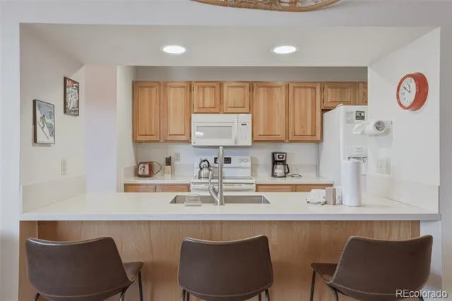 200 E La Bonte Street #223 Dillon, CO 80435