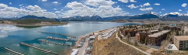 200 E La Bonte Street #223 Dillon, CO 80435