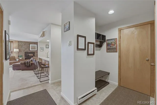 200 E La Bonte Street #223 Dillon, CO 80435