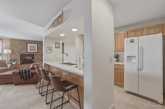 200 E La Bonte Street #223 Dillon, CO 80435