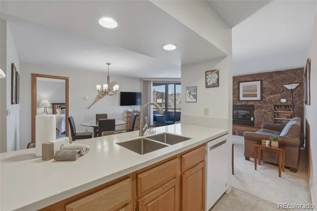 200 E La Bonte Street #223 Dillon, CO 80435