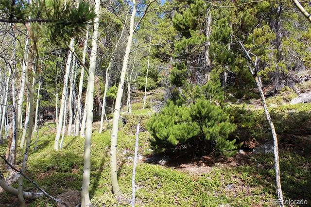 4-2 Lamertine Road Idaho Springs, CO 80452