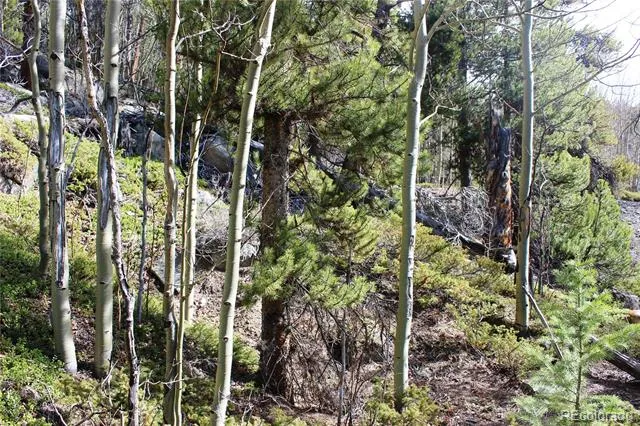 4-2 Lamertine Road Idaho Springs, CO 80452