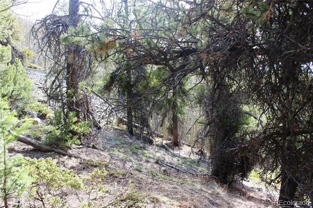 4-2 Lamertine Road Idaho Springs, CO 80452