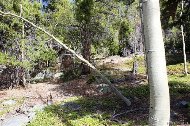 4-2 Lamertine Road Idaho Springs, CO 80452