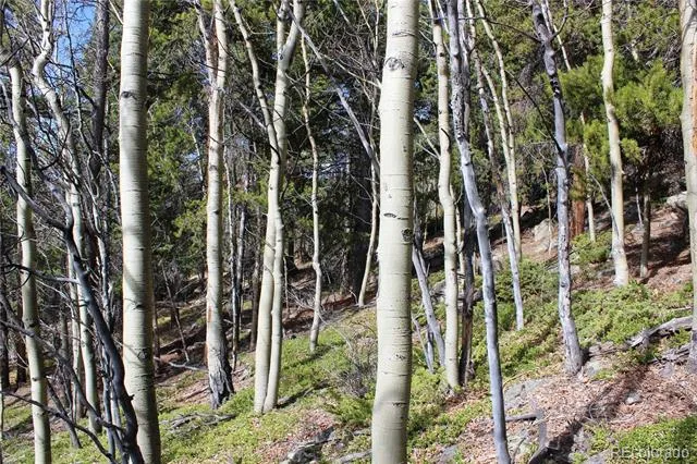 4-2 Lamertine Road Idaho Springs, CO 80452