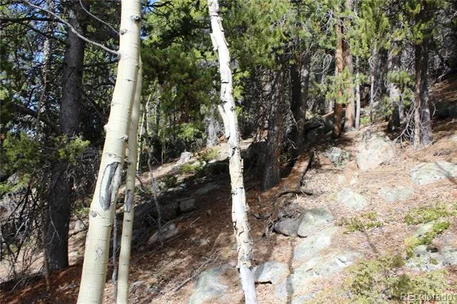4-2 Lamertine Road Idaho Springs, CO 80452