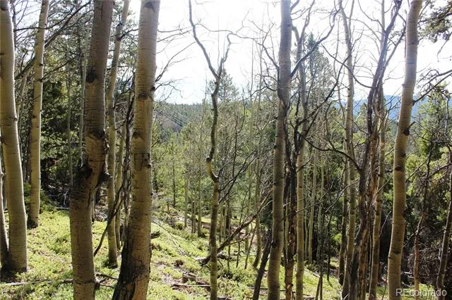 4-2 Lamertine Road Idaho Springs, CO 80452
