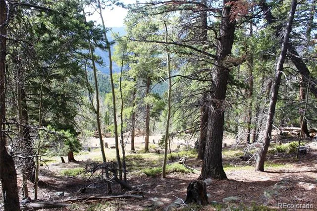 4-2 Lamertine Road Idaho Springs, CO 80452