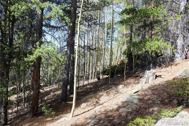 4-2 Lamertine Road Idaho Springs, CO 80452