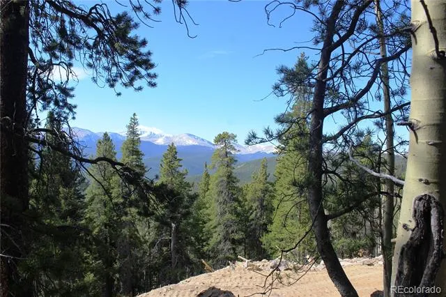 4-2 Lamertine Road Idaho Springs, CO 80452