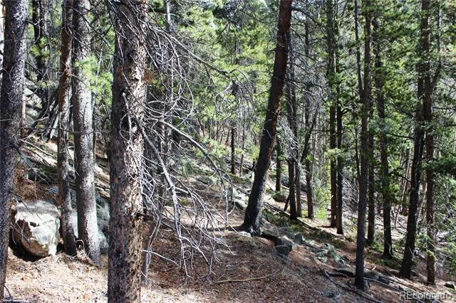 4-2 Lamertine Road Idaho Springs, CO 80452
