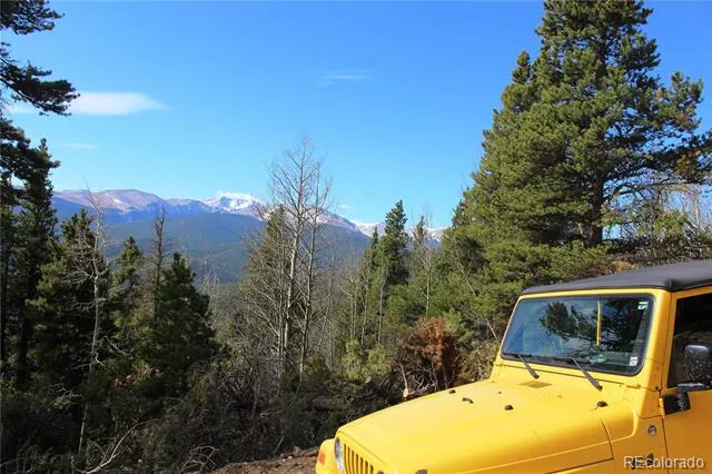 4-2 Lamertine Road Idaho Springs, CO 80452