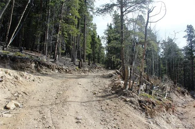 4-2 Lamertine Road Idaho Springs, CO 80452