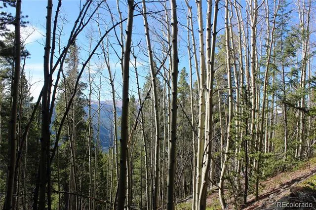 4-2 Lamertine Road Idaho Springs, CO 80452