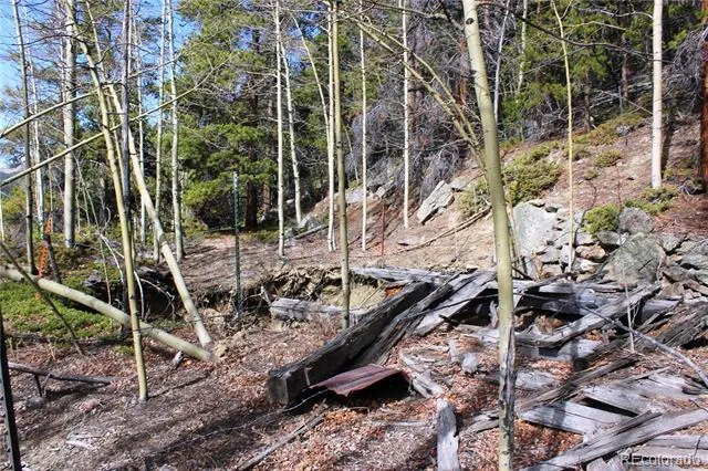 4-2 Lamertine Road Idaho Springs, CO 80452