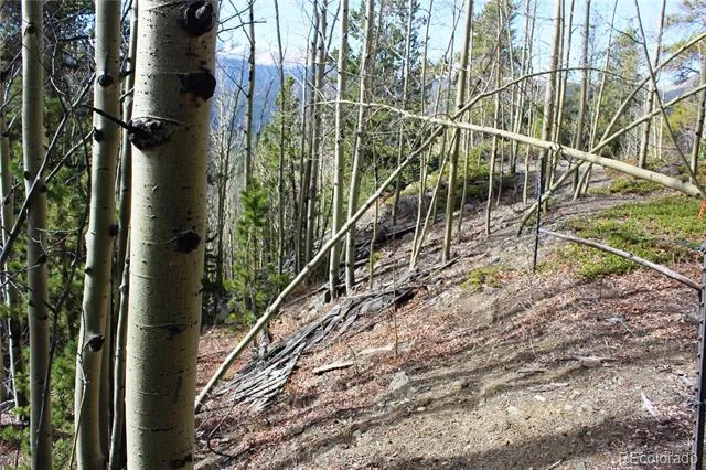 4-2 Lamertine Road Idaho Springs, CO 80452