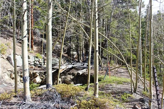 4-2 Lamertine Road Idaho Springs, CO 80452