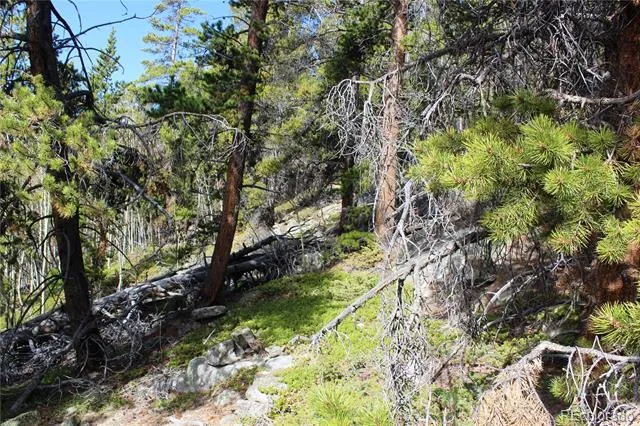 4-2 Lamertine Road Idaho Springs, CO 80452