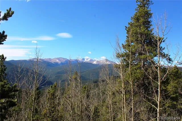 4-2 Lamertine Road Idaho Springs, CO 80452
