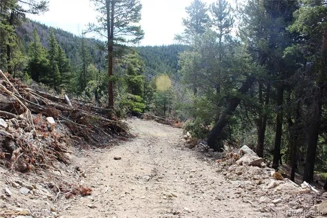 4-1 Lamertine Road Idaho Springs, CO 80452