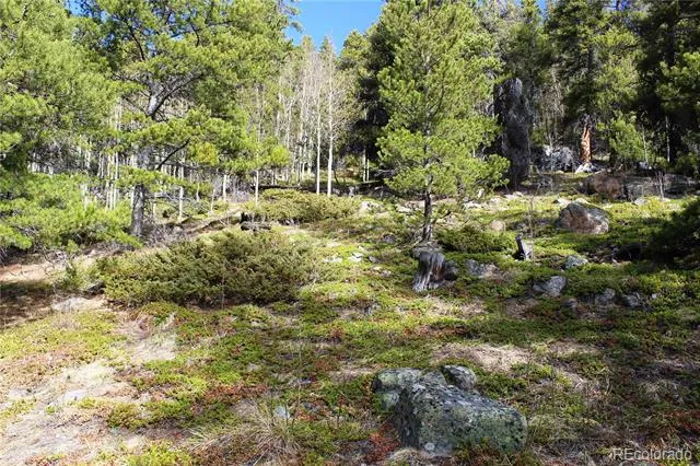 4-1 Lamertine Road Idaho Springs, CO 80452