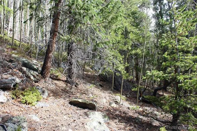 4-1 Lamertine Road Idaho Springs, CO 80452
