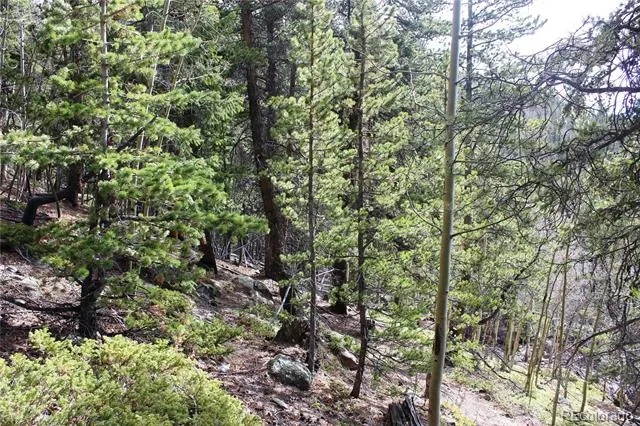 4-1 Lamertine Road Idaho Springs, CO 80452