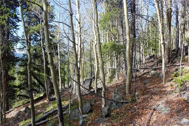 4-1 Lamertine Road Idaho Springs, CO 80452