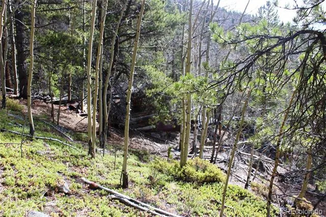 4-1 Lamertine Road Idaho Springs, CO 80452