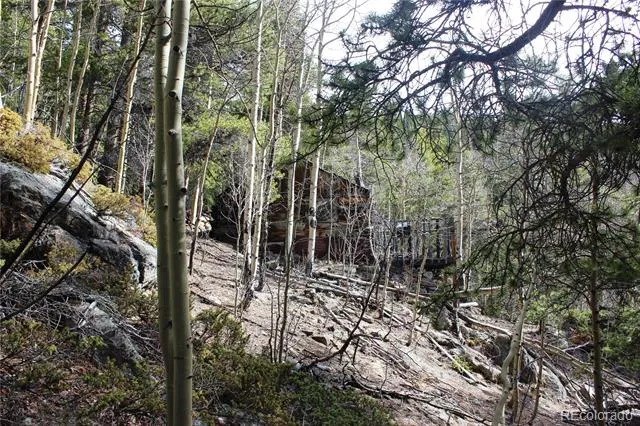 4-1 Lamertine Road Idaho Springs, CO 80452