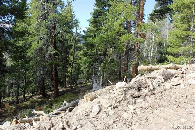 4-1 Lamertine Road Idaho Springs, CO 80452