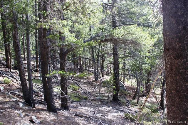 4-1 Lamertine Road Idaho Springs, CO 80452