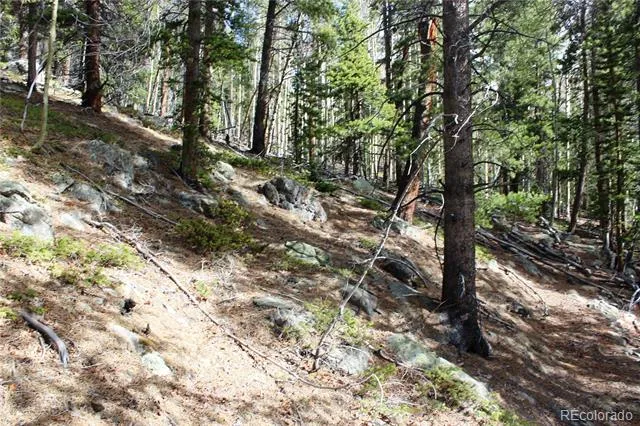4-1 Lamertine Road Idaho Springs, CO 80452