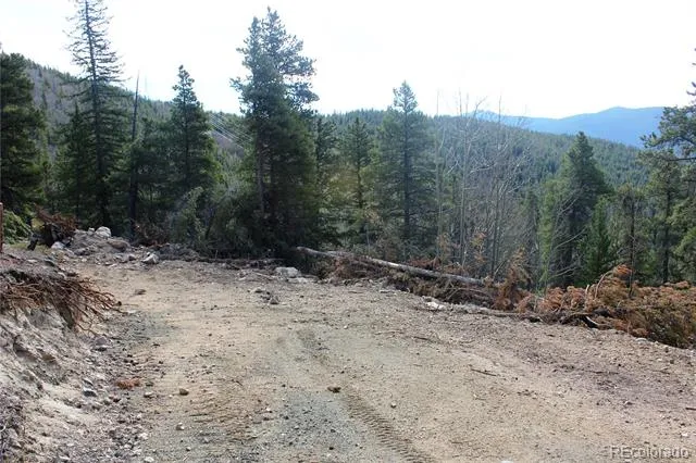 4-1 Lamertine Road Idaho Springs, CO 80452