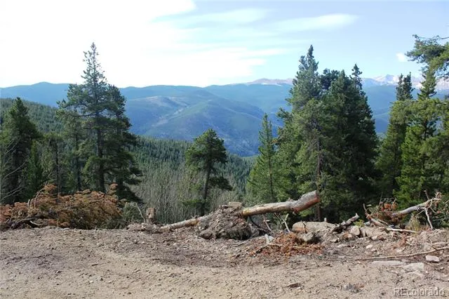 4-1 Lamertine Road Idaho Springs, CO 80452