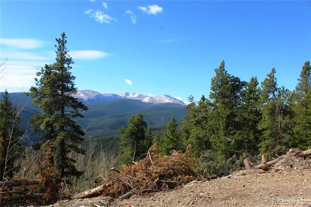 4-1 Lamertine Road Idaho Springs, CO 80452