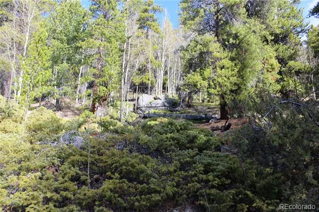 4-1 Lamertine Road Idaho Springs, CO 80452