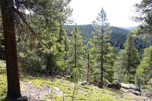 4-1 Lamertine Road Idaho Springs, CO 80452
