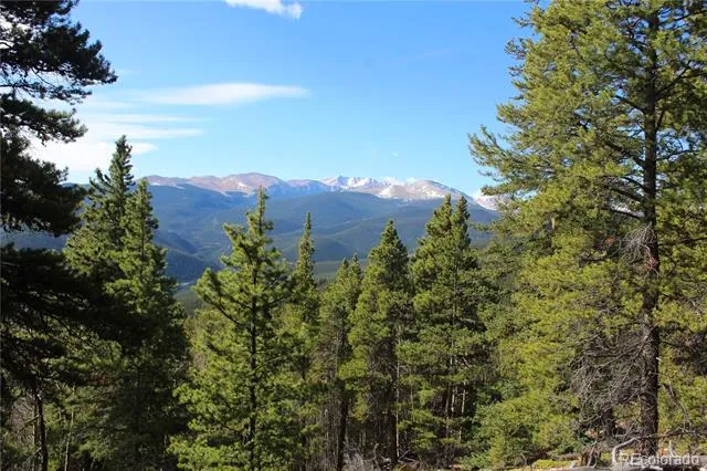 4-1 Lamertine Road Idaho Springs, CO 80452