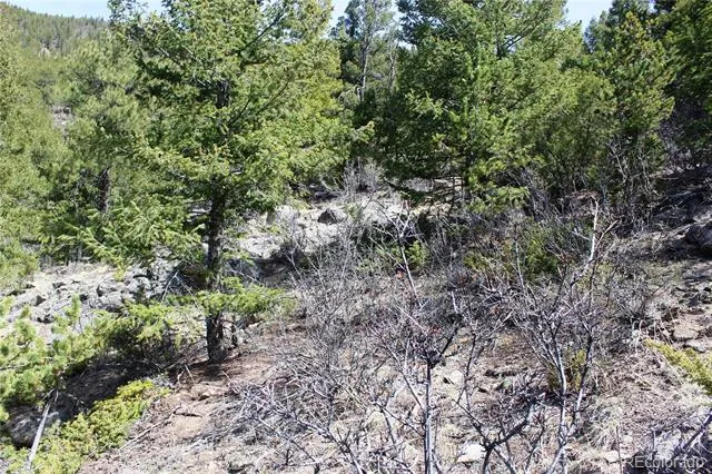 00 County Rd 308 Idaho Springs, CO 80436