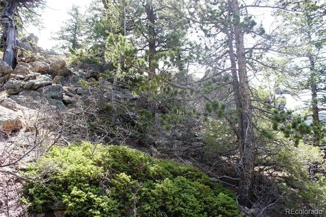 00 County Rd 308 Idaho Springs, CO 80436