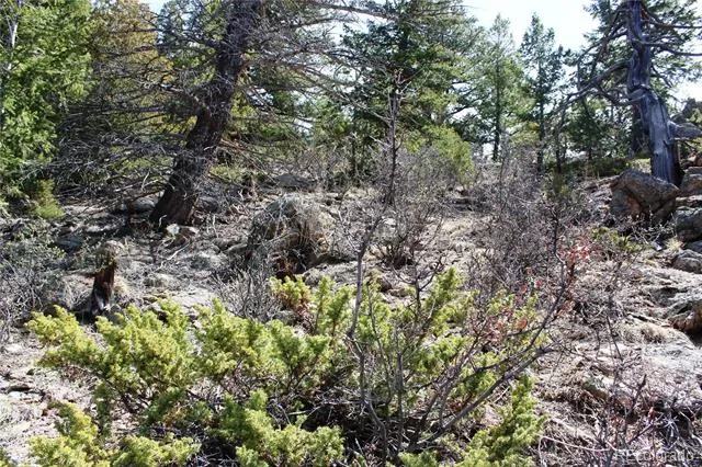 00 County Rd 308 Idaho Springs, CO 80436