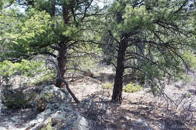 00 County Rd 308 Idaho Springs, CO 80436
