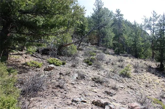 00 County Rd 308 Idaho Springs, CO 80436