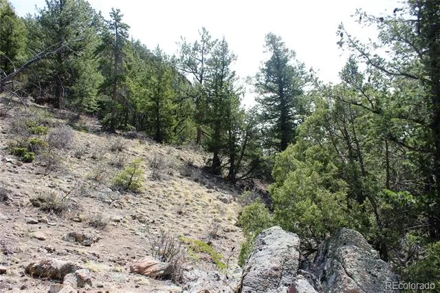 00 County Rd 308 Idaho Springs, CO 80436